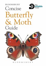 Concise Butterfly and Moth Guide (Concise Guides)
