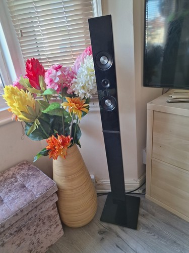 Samsung tall rear left speaker - left,