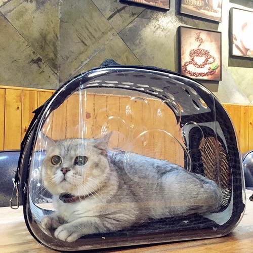 Large pet carrier shoulder - large,