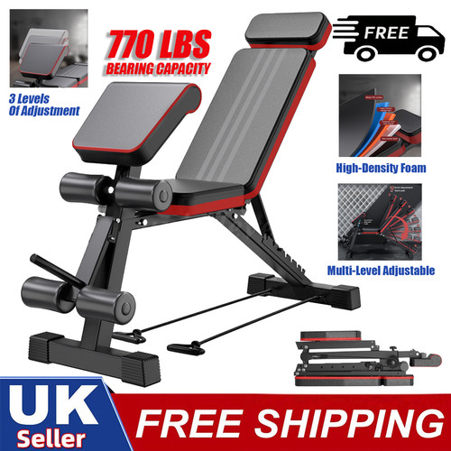 770lbs dumbbell bench weight - dumbbell,