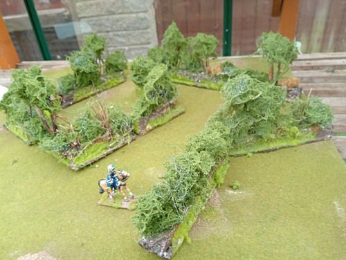 Bocage sections 28mm - bocage,