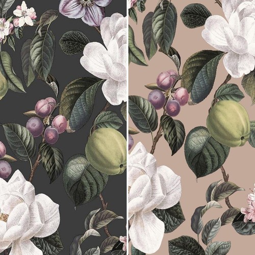 Pyrus black taupe - pyrus,
