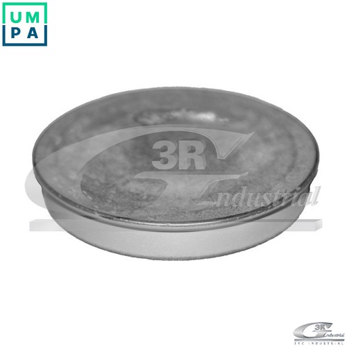 Protection lid wheel hub - lid, 84702