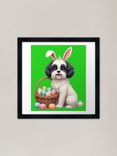 Havanese dog dressed up for