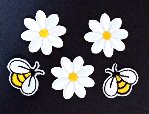 Daisy type flowers and - daisy,