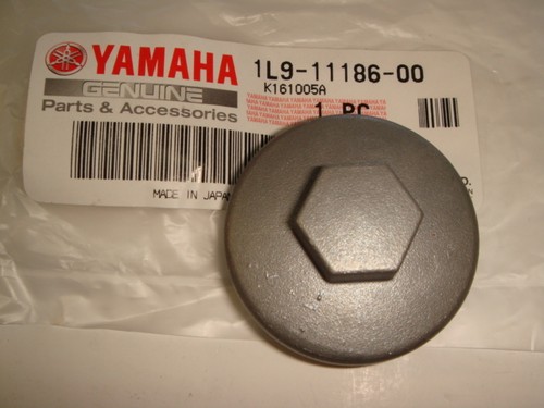 Cap cover inspection - cover,