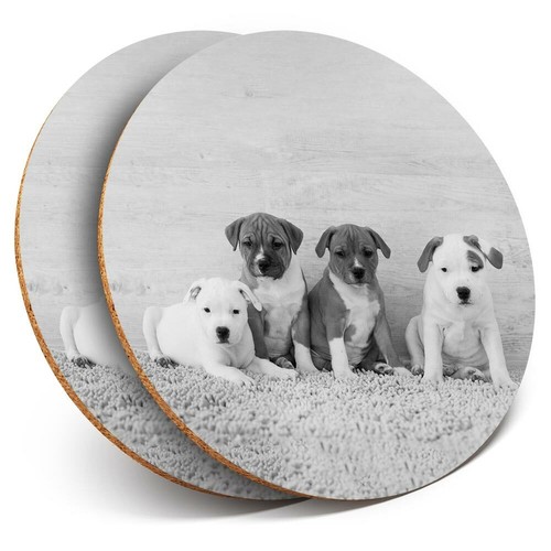 Coasters cute staffie - x,