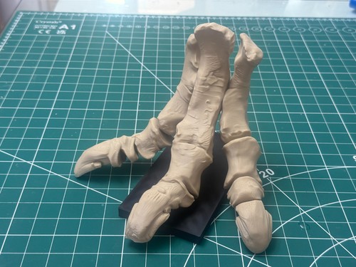 Iguanodon foot fossil replica - iguanodon,