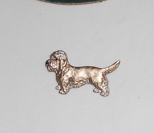 Dandie dinmont terrier - dandie,