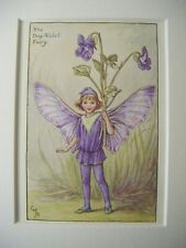 The Dog Violet Fairy Vintage Flower Fairies Print & Mount Cicely Barker c1930's
