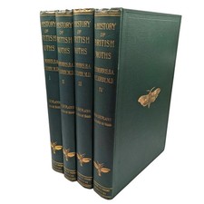 British Moths & Butterfly's