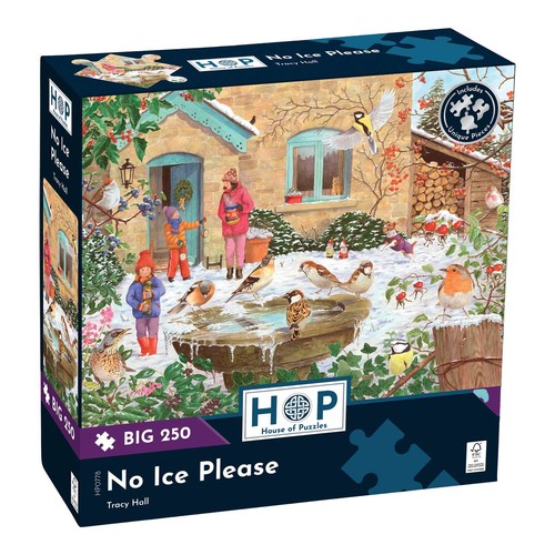 The house puzzles ice - the, no