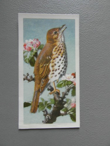 Brooke bond original - bond, 1957