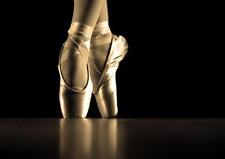 BALLET SHOES POSTER Ballerina Dancer Wall Art Print Picture Photo A3 A4