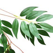 Decorative Willow Vine Leaves