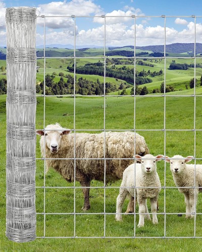 Galvanized wire mesh fence - galvanized,