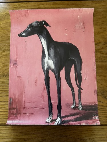 Grey whippet greyhound canvas - whippet,
