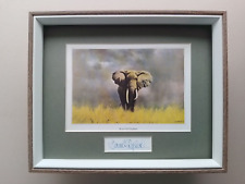 David Shepherd print 'Wise Old