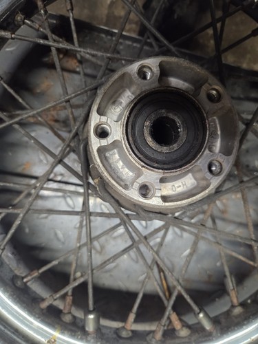 Harley davidson wheel - davidson,