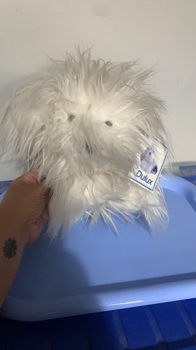Dulux advertising plush - plush, soft