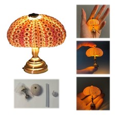 DIY Sea Urchin Night Light