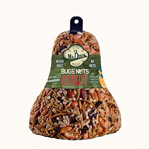 Bird bugs nuts - bird, &