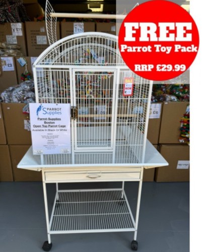 Parrot supplies boston - parrot-supplies,