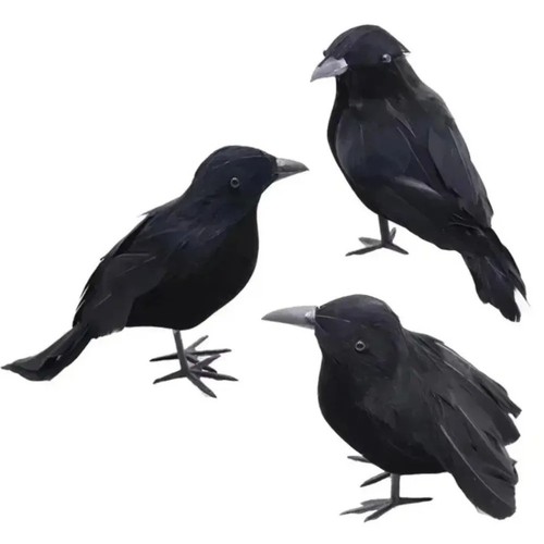 Life size crow - life, bird