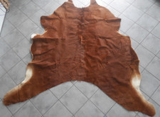 Beautiful LARGE COWHIDE Cattle