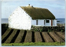 Postcard Connemara Co Galway Ireland Thatched Cottage and Potato lazy beds