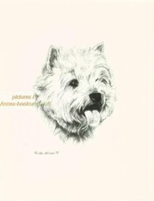 #104 WESTIE West Highland