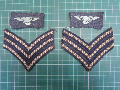 Vintage pairs royal air - air, force