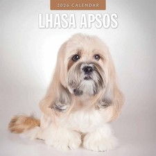 Lhasa Apsos Calendar 2026 - Dogs - Month To View