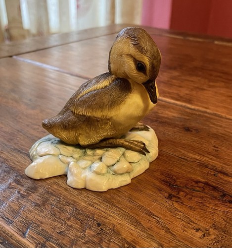 Teviotdale duck - teviotdale,