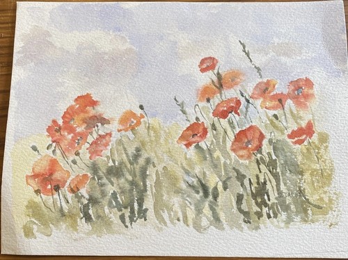 Watercolour painting poppies - watercolour, painting,-
