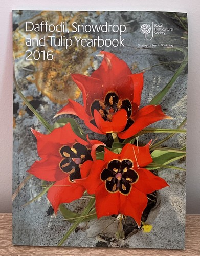 Daffodil snowdrop and tulip - and,
