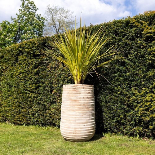 Primrose ribbed textured - ribbed,