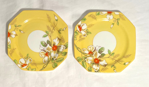 Pair royal paragon vintage - of,