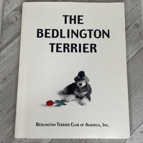 The bedlington terrier - bedlington,