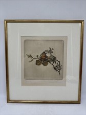 Hand Colored Lithograph Bird 1880-1900 Signed Lenzo Primi