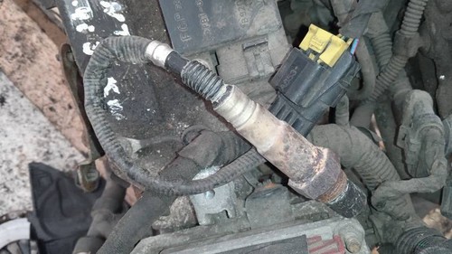 Lambda sensor 4 - ,