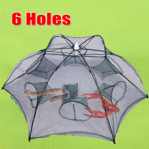 Holes shrimp crab fish - crab,