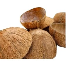 Raw Coconut Shells | New  |