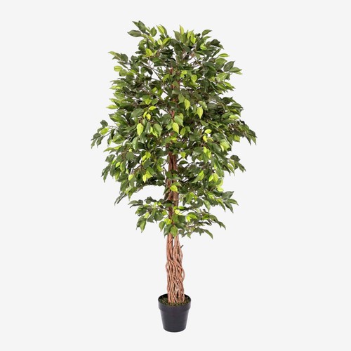 6ft tall artificial - tall, ficus