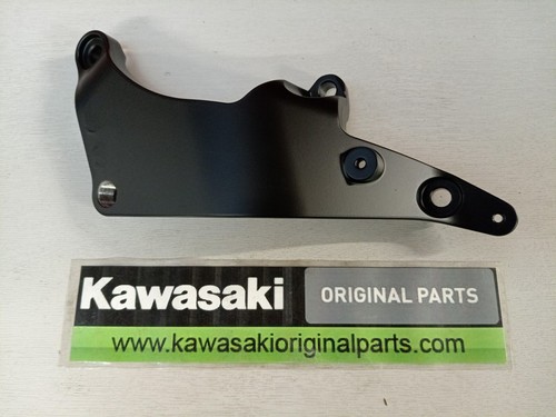 Kawasaki genuine ninja - kawasaki,