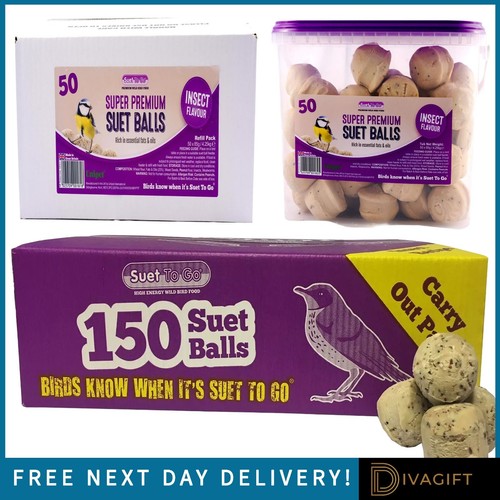 Suet insect and - suet, to