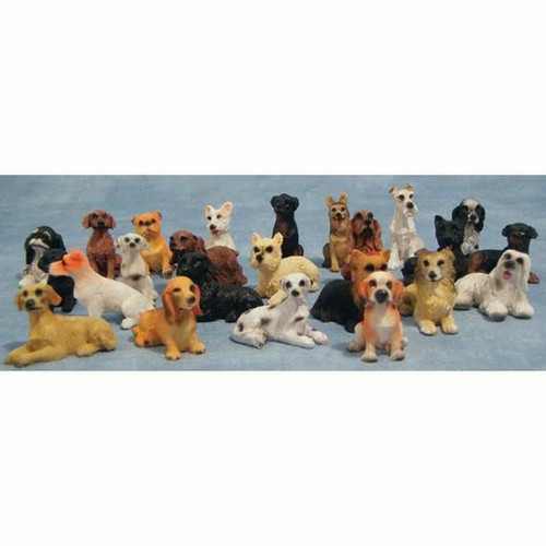 Dog choice doggo - dog, doggo's