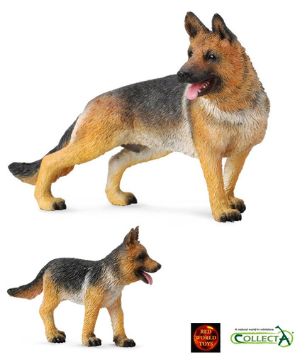 German shepherd dog - dog, and