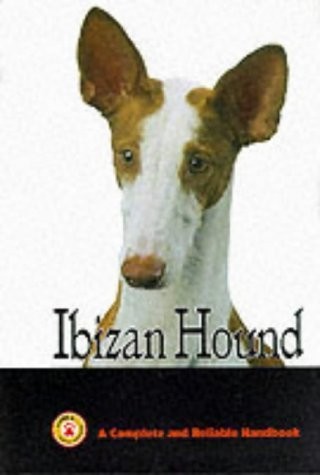 Ibizan hound - ibizan,