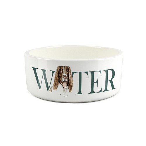 Springer spaniel pet - springer,